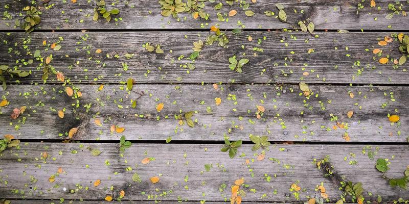 MJ FBL与数字资源：开启网络技术入门的三大核心教程