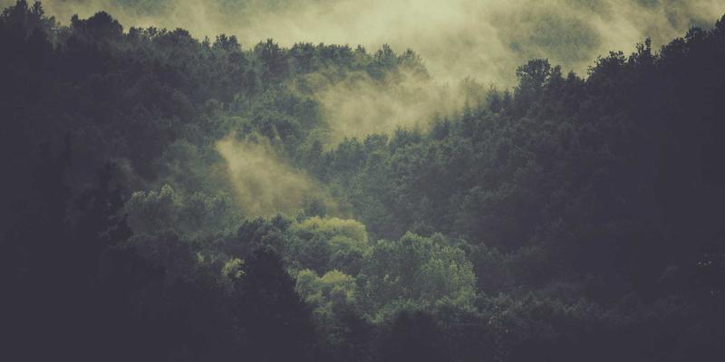 MJ FBL：编程开发与网络安全的融合新范式