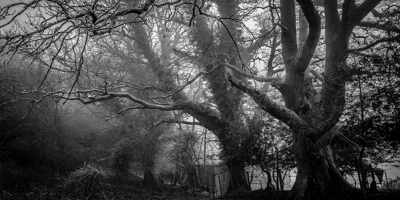 数字资源安全新范式：零信任网络访问（ZTNA）与SASE架构融合实施技术教程