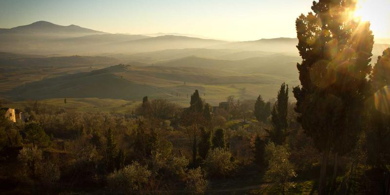 构建企业数字免疫系统：零信任网络安全架构的实战实施路径与资源分享