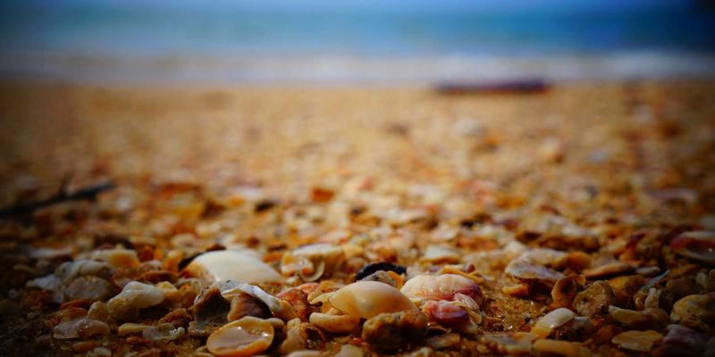 构建智能网络可观测性平台：基于遥测数据实现故障预测与智能诊断，守护数字资源与MJ FBL网络安全