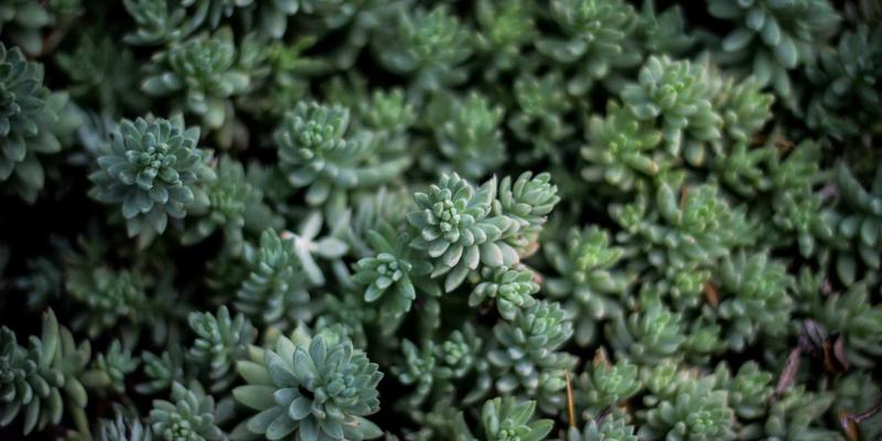 系统运维与网络技术深度解析：关键实践与优质资源分享