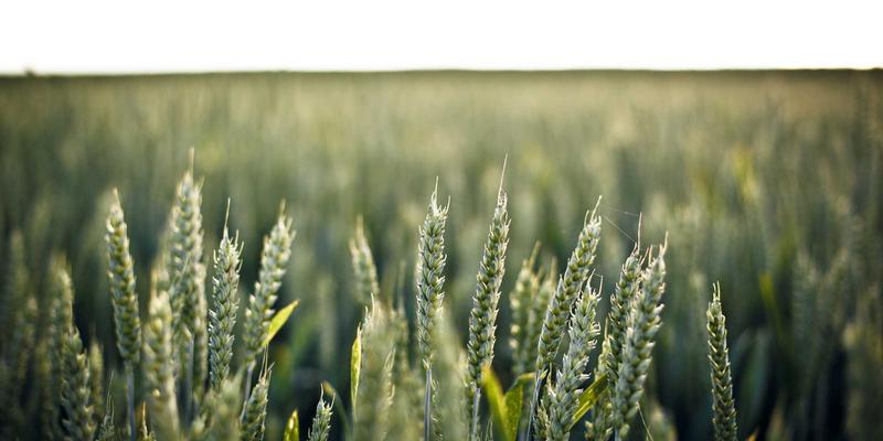 网络功能虚拟化（NFV）编排与管理深度解析：从MANO到云原生的演进之路