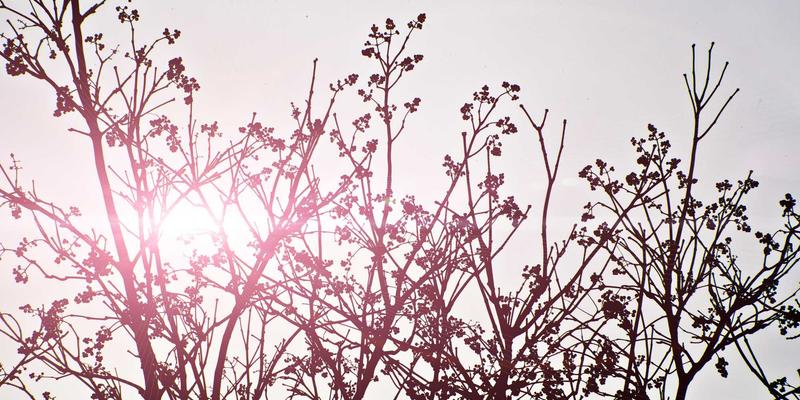 网络性能监控与可观测性实战指南：全栈数据采集、分析与智能告警技术教程