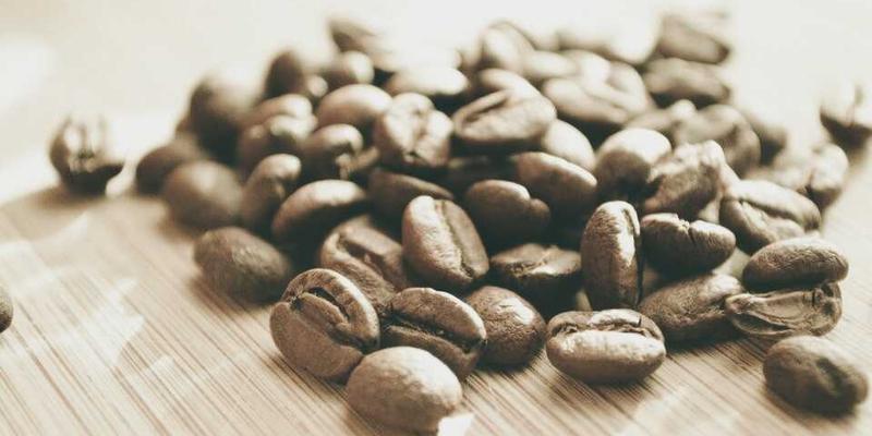 网络技术21：从资源分享到实战教程的全面指南