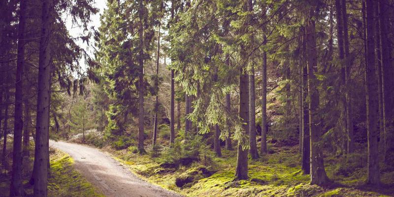 网络技术23：从技术教程到数字资源，构建你的数字时代核心技能栈