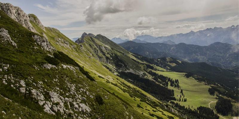 网络技术前景：数字资源、网络安全与MJ FBL技术如何重塑未来