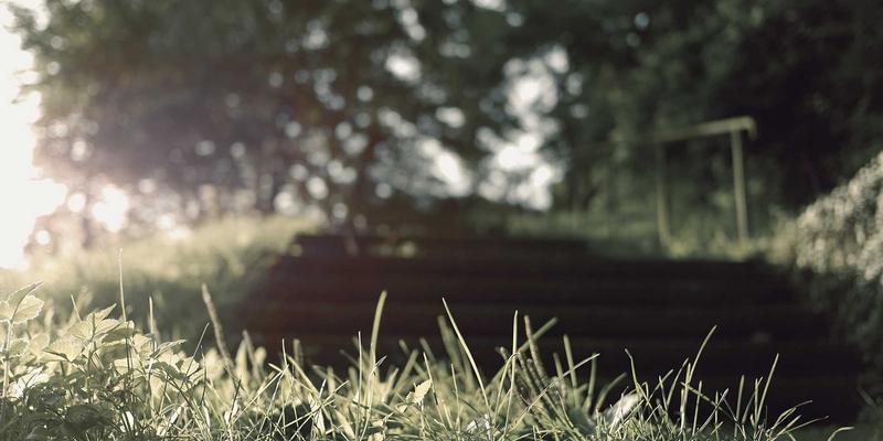 网络技术、数字资源与系统运维：构建高效数字生态的三大支柱