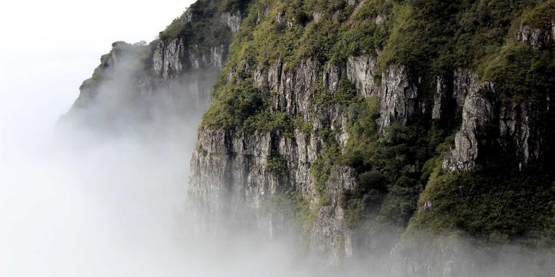 网络技术演进：编程开发与网络安全如何重塑数字未来